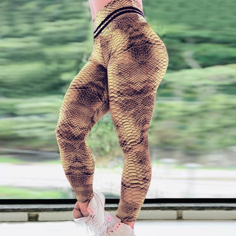 High Waist Yoga Pants Sets Snakeskin Print Workout Women Tracksuit Seamless Gym  Wear for Fitness Clothing Gym Clothing - China Yoga and Gym price |  Made-in-China.com